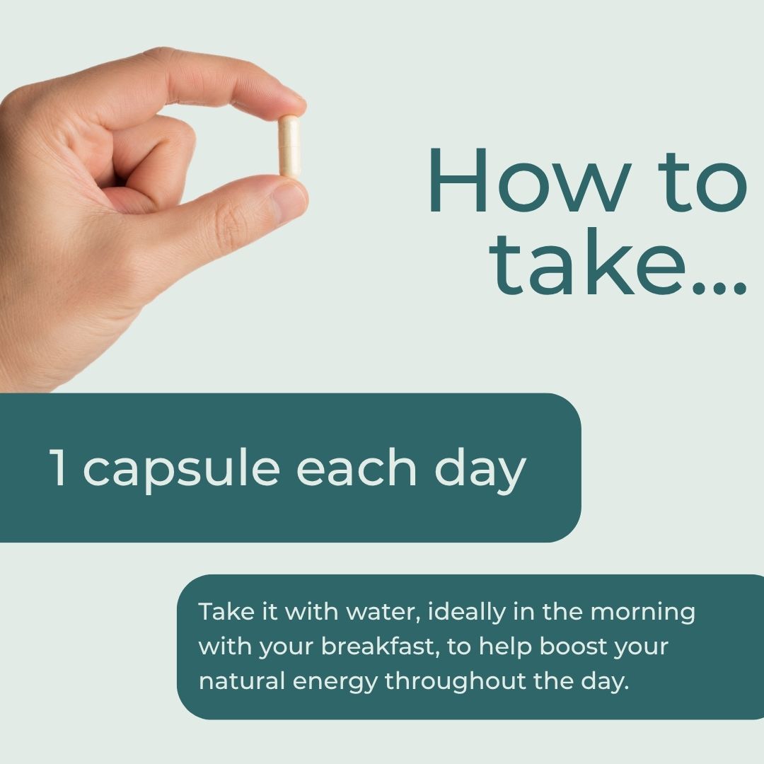 Instructional graphic showing a hand holding a single capsule pill, with text reading 'How to take.