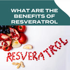 Text "What are the benefits of resveratrol" above fruits and peanuts with "RESVERATROL" spelled in seeds.