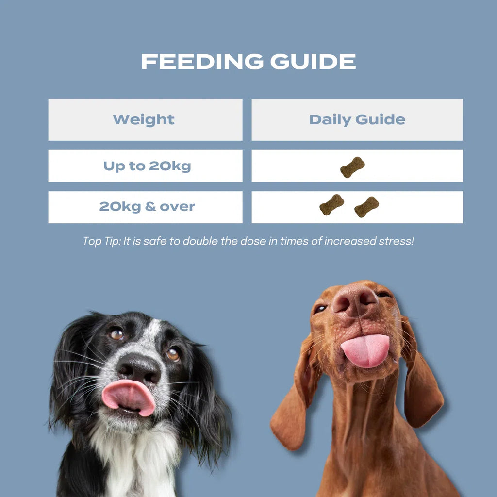 Feeding guide for CBD calming chews for dogs, showing dosage for different weights with two playful dogs.