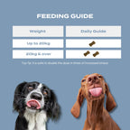 Feeding guide for CBD calming chews for dogs, showing dosage for different weights with two playful dogs.