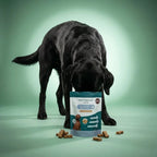 Black dog sniffing a Naturecan Pets product on a green background