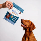 Dog looking at a Naturecan Pets supplement package held by a person on a white background