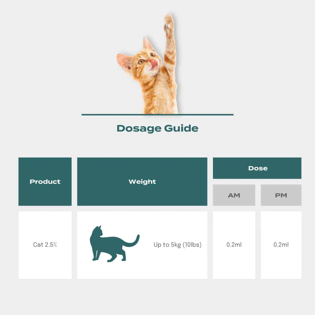 Cat dosage guide with a kitten reaching up, showing product info for weights up to 5kg, doses 0.2ml AM/PM.
