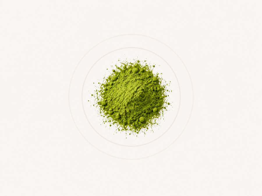 Matcha Protein