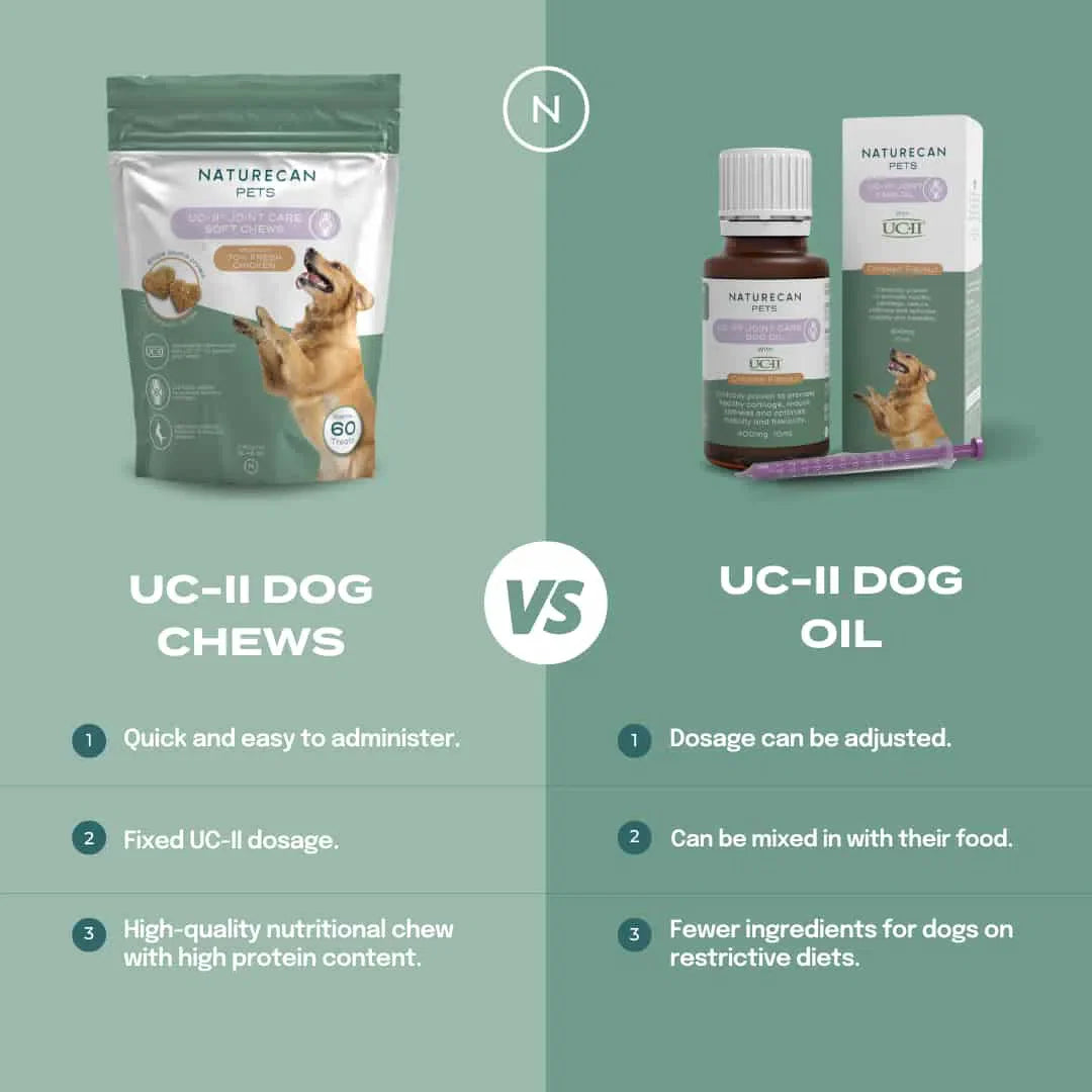 Naturecan UC-II Dog Chews vs. Oil comparison highlighting ease, dosage, and ingredient benefits on a green background.