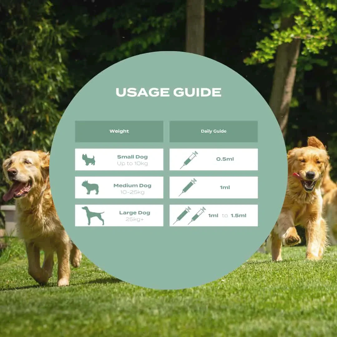 Dosage oil usage guide for dogs based on weight, with dogs running in a grassy area.