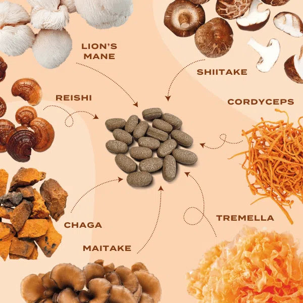 Mixed mushroom capsules surrounded by lion's mane, shiitake, reishi, cordyceps, chaga, tremella, and maitake varieties.
