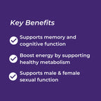 Key benefits listed on a purple background
