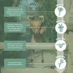 Dog's joint health improvement over 90 days with milestone illustrations and descriptions.