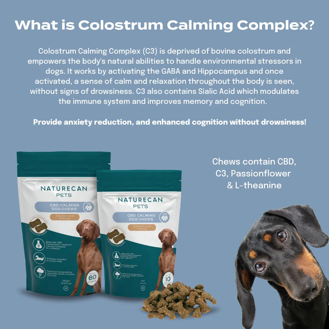 Naturecan Pets CBD Calming Dog Chews packaging highlighting Colostrum Calming Complex benefits with a curious dog.