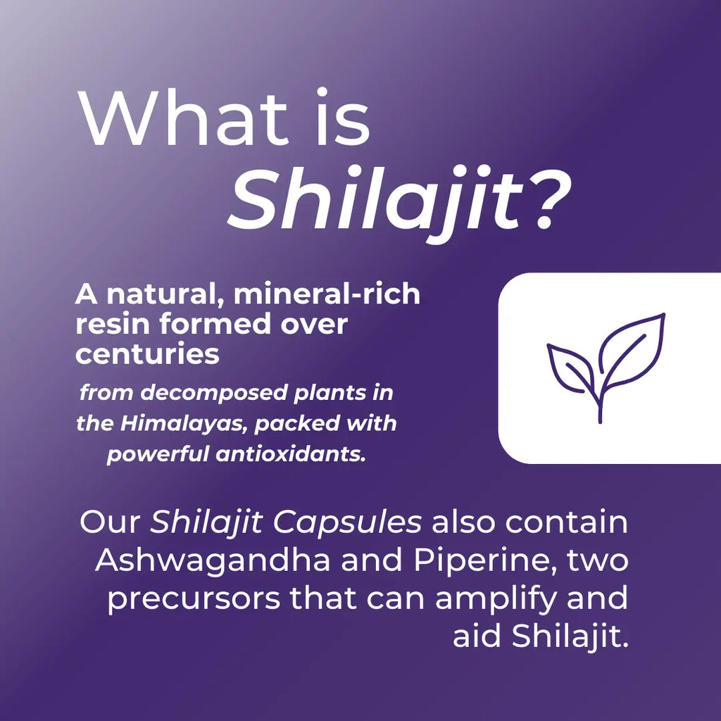 Information about Shilajit on a purple background with text and a leaf icon.