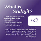 Information about Shilajit on a purple background with text and a leaf icon.