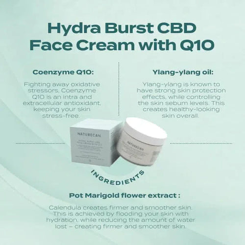 Hydra Burst CBD Face Cream with Q10 packaging, highlighting Coenzyme Q10, Ylang-ylang oil, and Pot Marigold extract benefits.