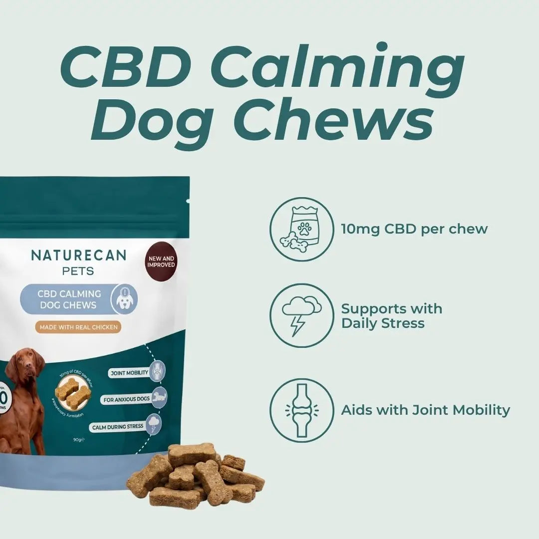 CBD Calming Dog Chews packaging with text on a light blue background