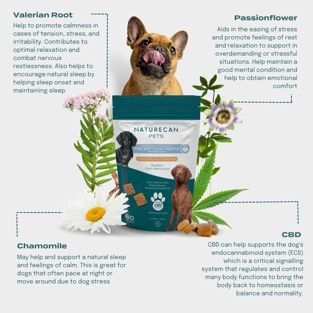 CBD Dog Treats for Calm