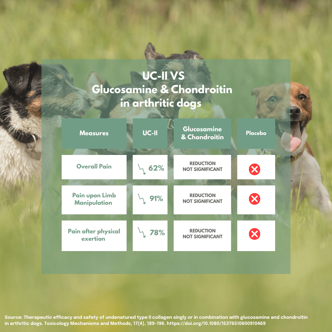 UC-II® Joint Care Dog Chews